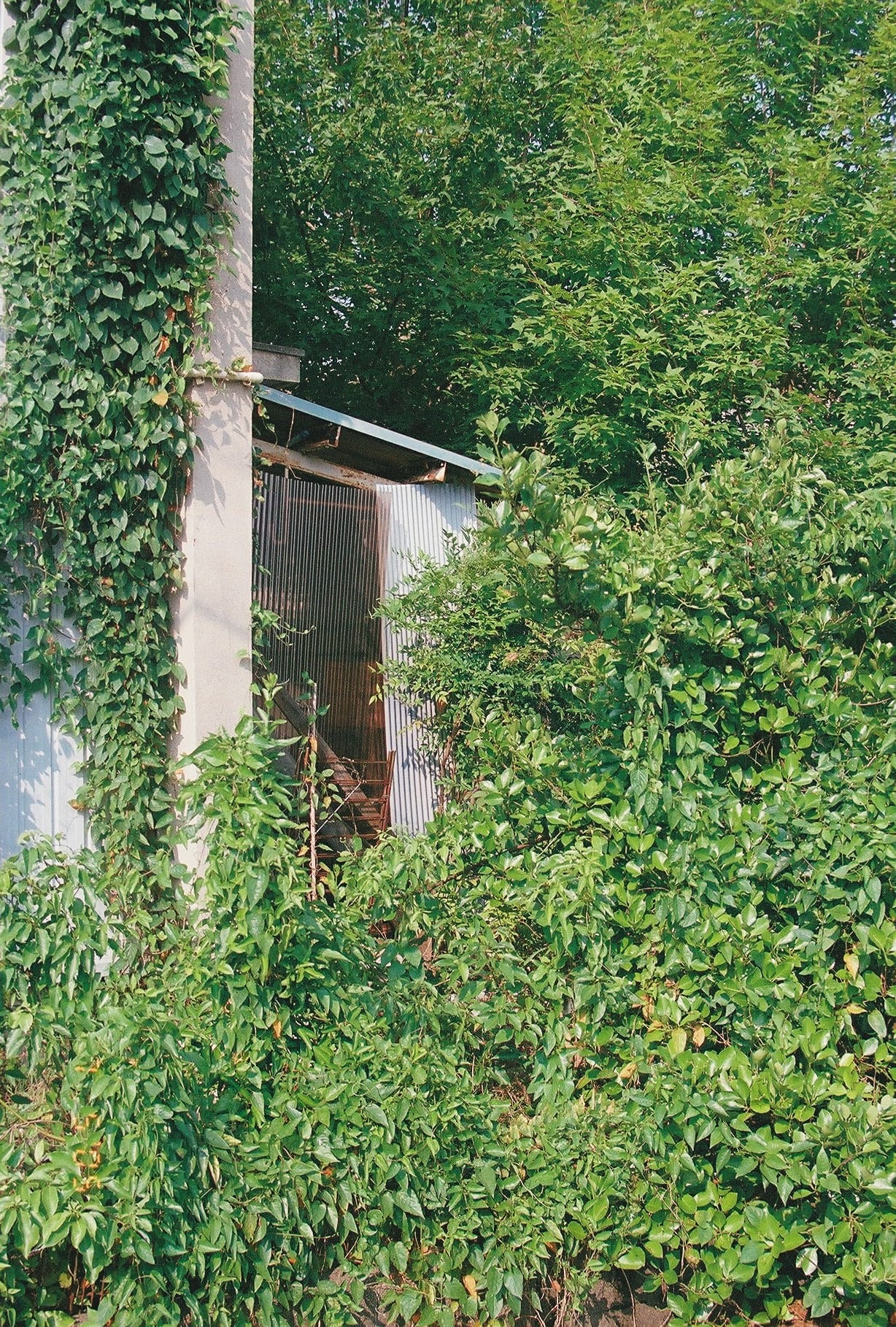 0725250_0007.JPG