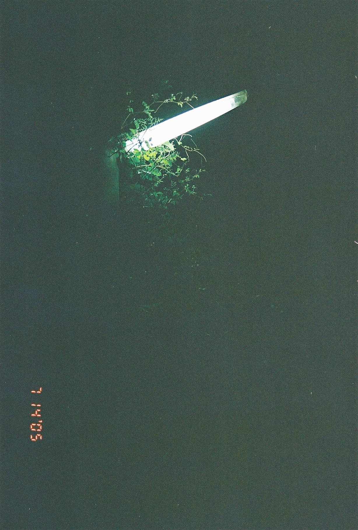 0725250_0021.JPG