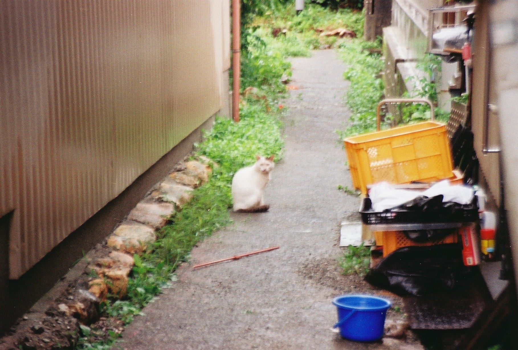 0725704_0003.JPG