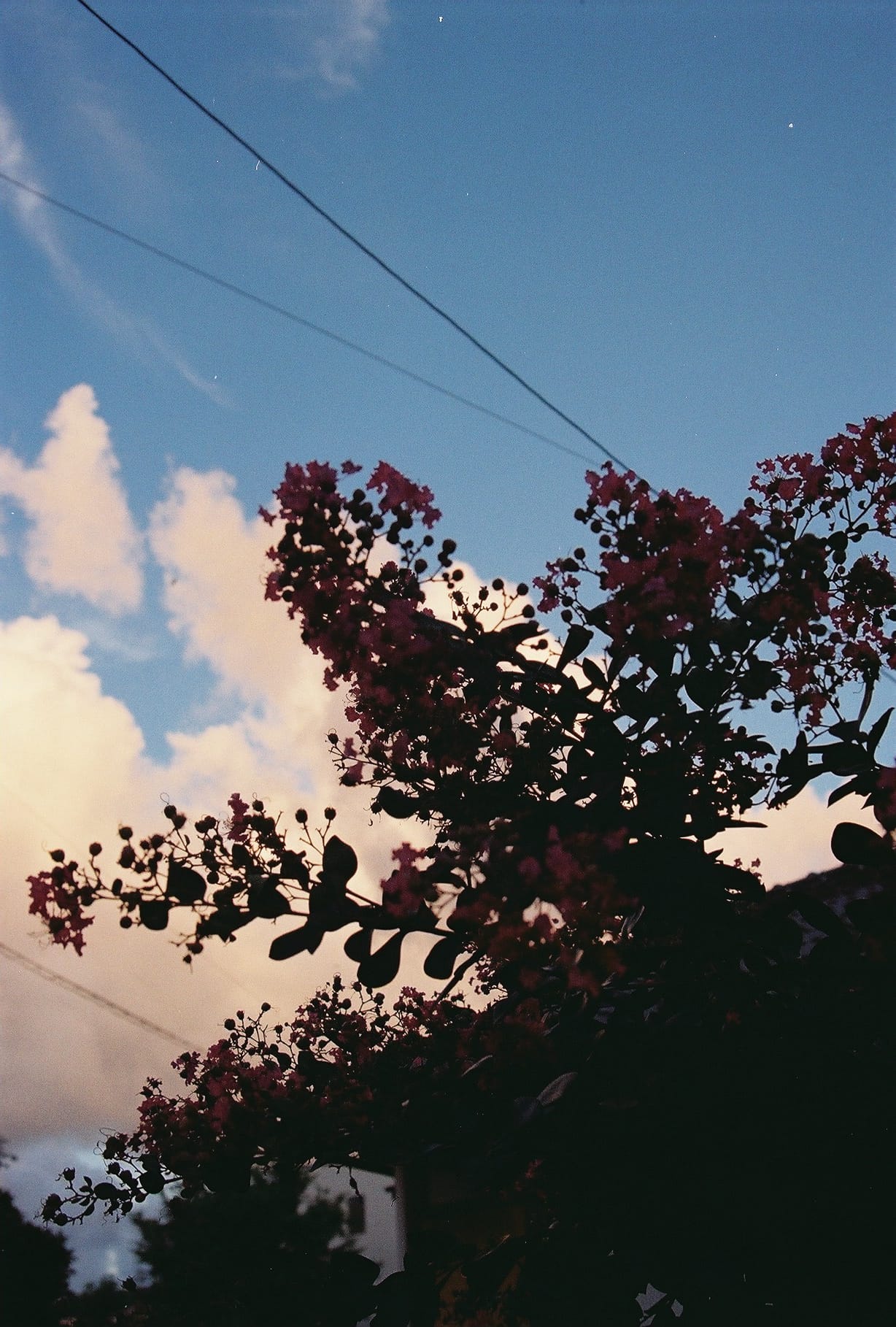0725704_0018.JPG