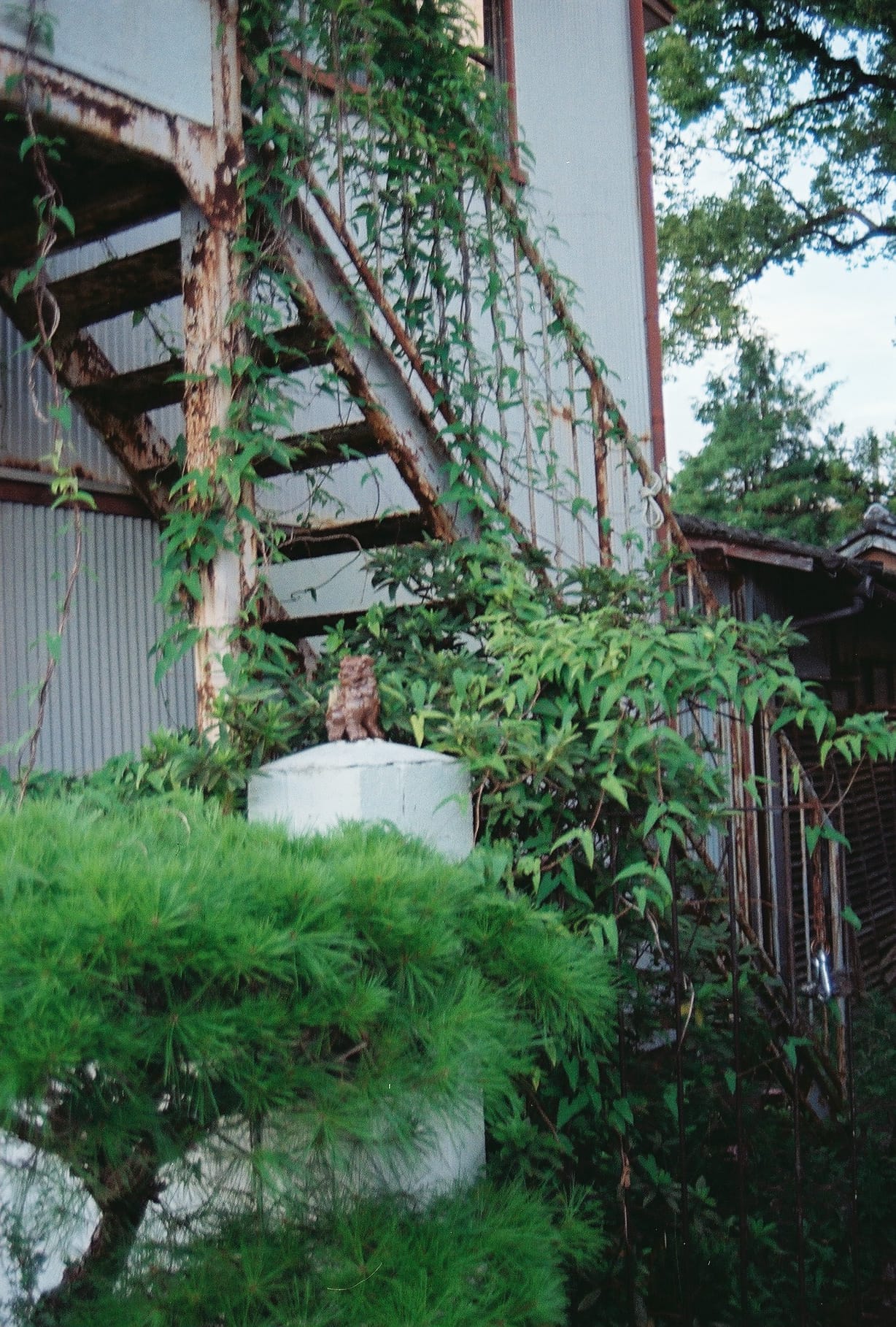 0725704_0019.JPG