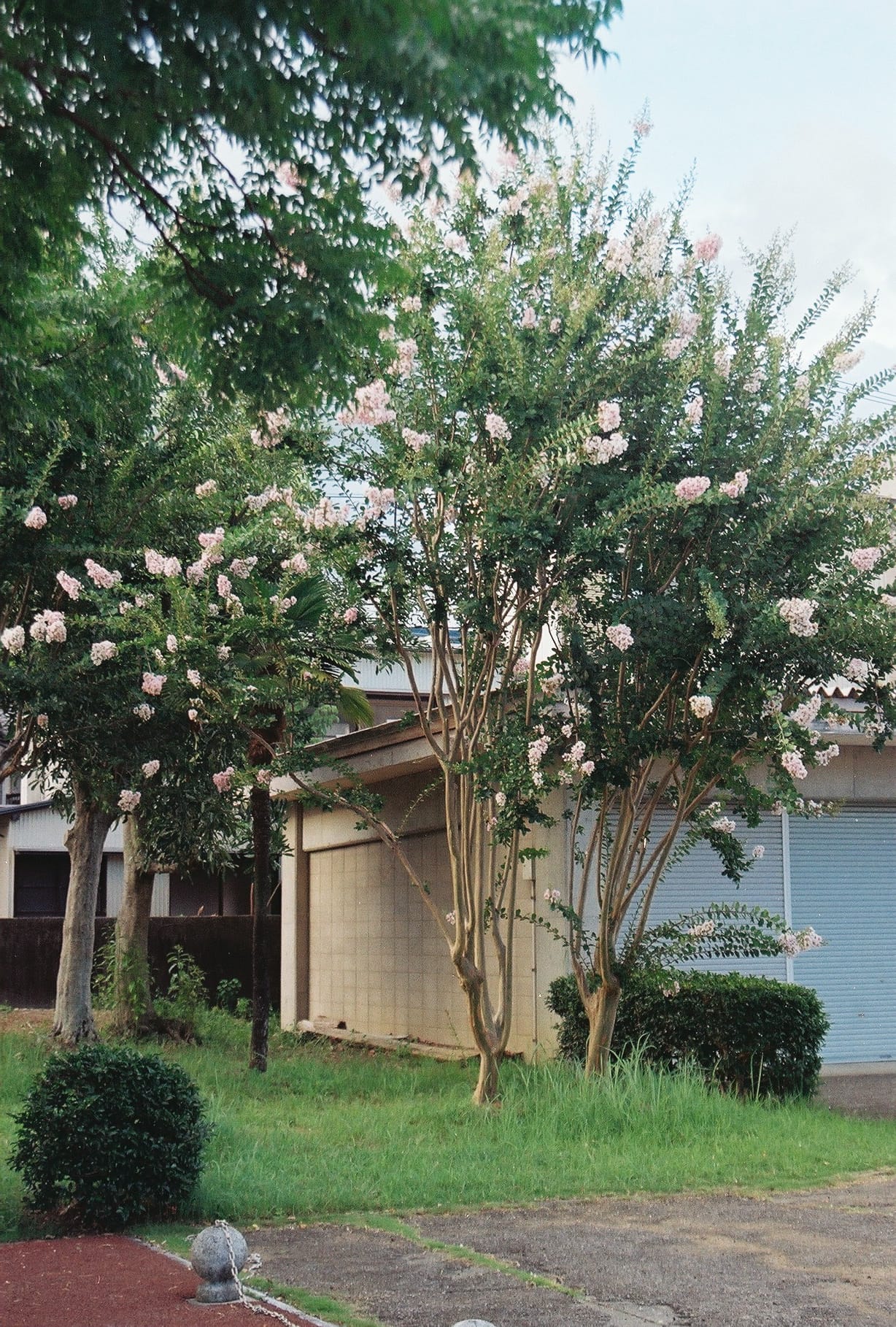 0725704_0036.JPG